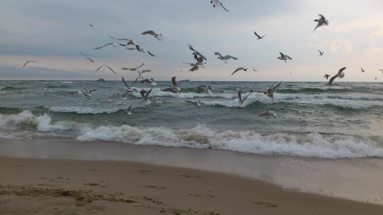 Pokoje Goscinne Fala Pobierowo Esterno foto